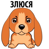 Собаки и щеночки