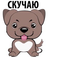 Собаки и щеночки
