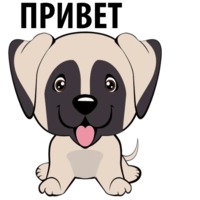 Собаки и щеночки
