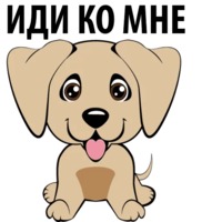 Собаки и щеночки