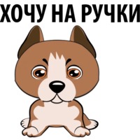 Собаки и щеночки