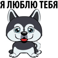 Собаки и щеночки