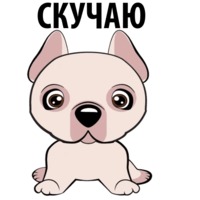 Собаки и щеночки