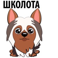 Собаки и щеночки