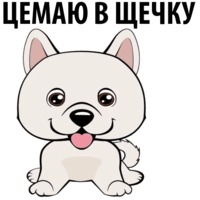 Собаки и щеночки