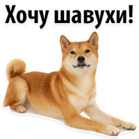 Собачий слэнг