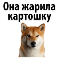 Собачий слэнг