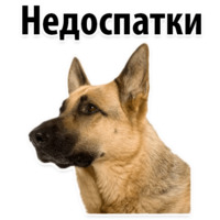 Собачий слэнг