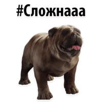 Собачий слэнг