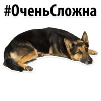 Собачий слэнг