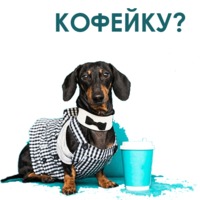 Набор стикеров Такса