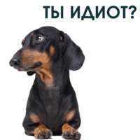 Такса