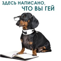 Такса