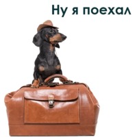 Такса