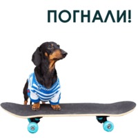 Такса