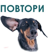 Такса
