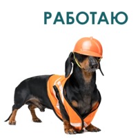 Такса