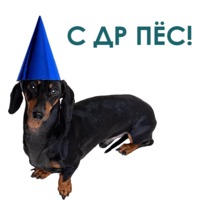 Такса