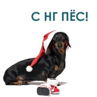 Такса
