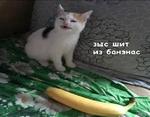 English Songs