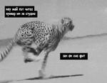English Songs