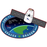 Эмблемы миссий SpaceX
