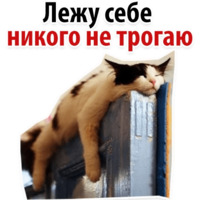 Твои любимые фразы 2