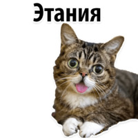 Твои любимые фразы 2