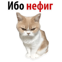 Твои любимые фразы 2