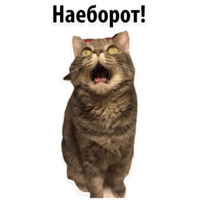 Твои любимые фразы 2