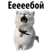 Твои любимые фразы 2