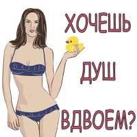 Женская Логика