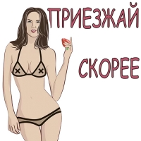 Женская Логика