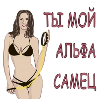 Женская Логика