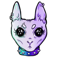 Кошечки-феминистки