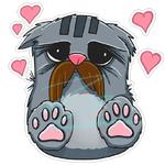 FRIEDRICH THE CAT