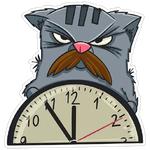 FRIEDRICH THE CAT