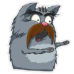 FRIEDRICH THE CAT
