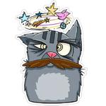 FRIEDRICH THE CAT