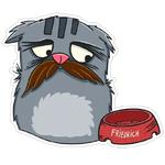 FRIEDRICH THE CAT