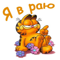Гарфилд