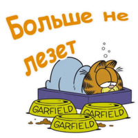 Гарфилд