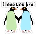 Gay