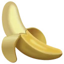 Gay