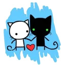 Gay