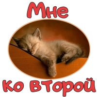 Доброе УТРО