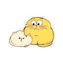 Happy Kitty- @cocopry