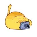 Happy Kitty- @cocopry