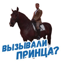 Холостяк