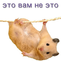 Хомячья жизнь